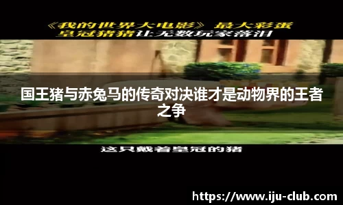 国王猪与赤兔马的传奇对决谁才是动物界的王者之争