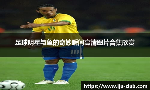 jn江南·体育登录入口